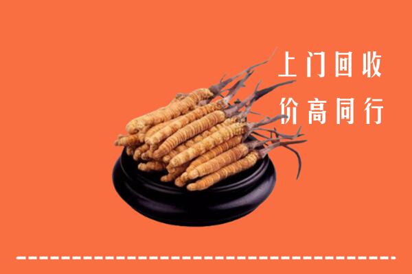 高价求购：桦甸市回收散虫草