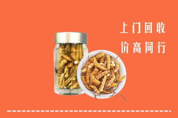 桦甸市回收冬虫夏草